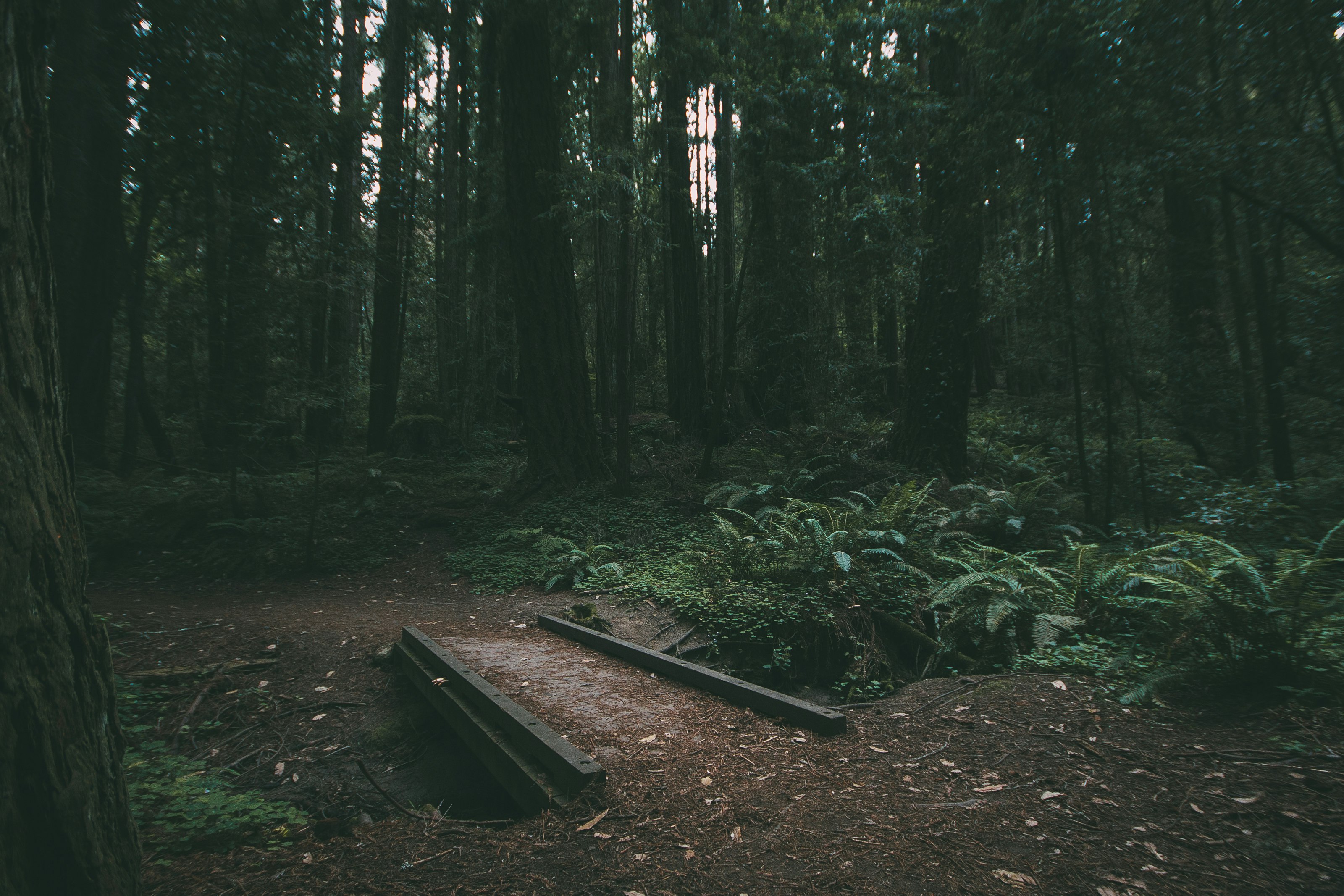 black metal bridge near trees